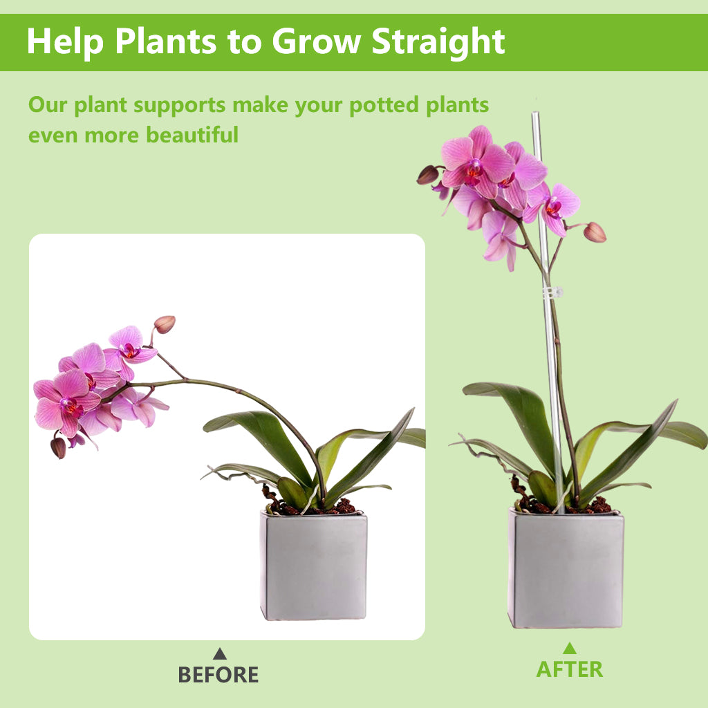 HASTHIP 10Pcs Plant Support Sticks with 10 Plant Claw Clips 15.75 inches Acrylic Clear Plant Support Stakes Plant Stand Stakes for Planters, Flower Pots HASTHIP 10Pcs Plant Support Sticks with 10 Plant Claw Clips 15.75 inches Acrylic Clear Plant Support Stakes Plant Stand Stakes for Planters, Flower Pots